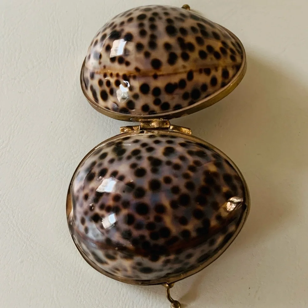 Shell trinket box with brass rim